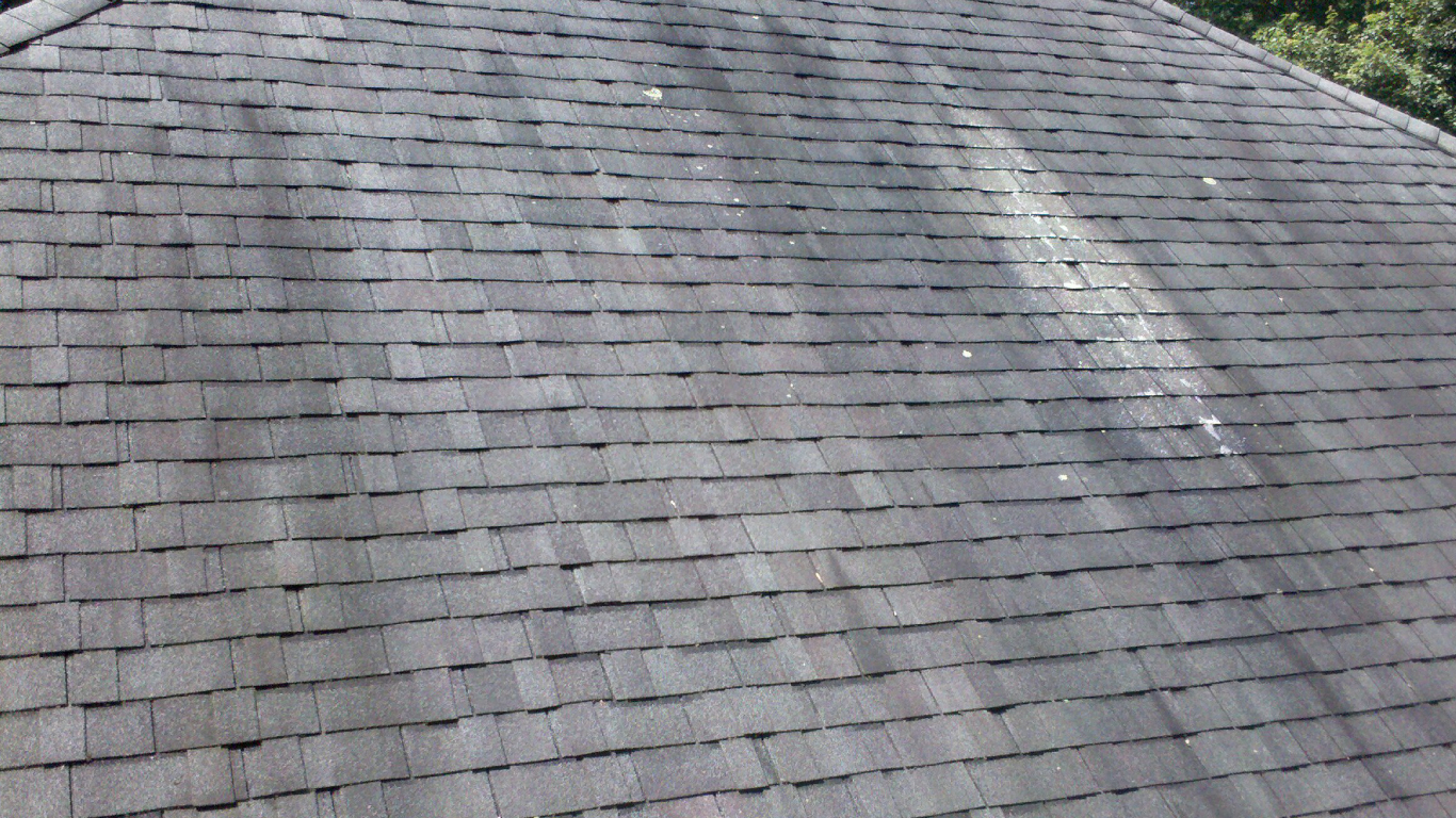 Gloeocapsa magma in florida